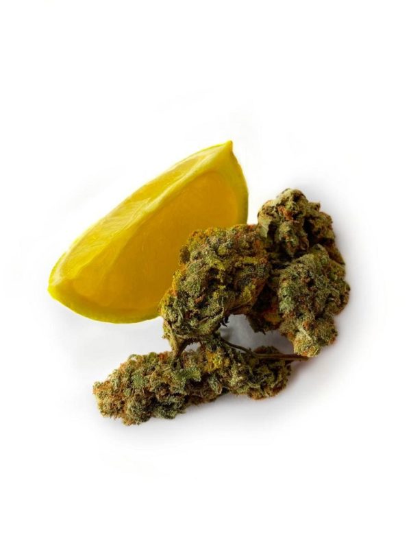 Lemon Haze