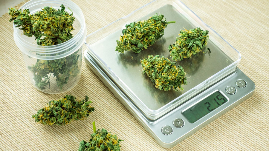 How to Weigh Weed: Full Guide into Cannabis Measurements